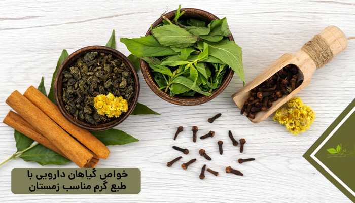 خواص گیاهان دارویی با طبع گرم مناسب زمستان